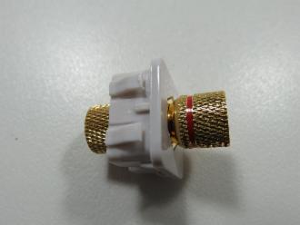 Photo of KEY RED SPEAKER INSERT