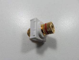 Photo of CLIPSL RED SPEAKER POST INSERT